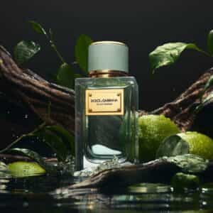 عطر فلفت انفيوجن من دولتشي غابانا