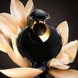 عطر أولمبيا أبسولو أنتس من باكو رابان